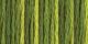 DMC Color Variations 6 Strand Embroidery Floss 8.7yd Amazon Moss