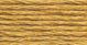 DMC 6 Strand Embroidery Cotton 8.7yd Hazelnut Brown