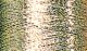 Sulky Metallic Thread Light Gold