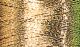 Sulky Metallic Thread Dark Gold 