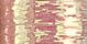 Sulky Metallic Thread 250yd Opalescent