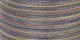 Coats Dual Duty Plus Hand Quilting Multicolor Thread 250yd Teaberries