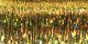 Sulky Metallic Thread 250ydLight Gold