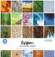 Colorbok 68Lb Designer Single Sided Paper 12 inch X12 inch 50 Per Pkg Outdoors 25 Designs Per 2 Each