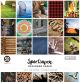 Colorbok 68lb Designer Single Sided Paper 12 inch X12 inch 50 Per Pkg Sportsman 25 Designs 2 Each
