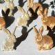 Eyelet Outlet Shape Brads 12 Per Pkg Rabbits Brown