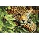 Dimensions Gold Collection Counted Cross Stitch Kit 16 inch X11 inch Leopard In Repose 14 Count