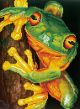 Diamond Dotz Diamond Embroidery Facet Art Kit 16.5 inch X12.6 inch Green Tree Frog