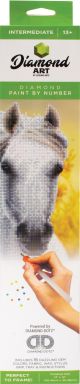 Leisure Arts Diamond Art Intermediate Kit 14.57X14