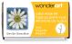 Spinrite Wonderart Latch Hook Kit 12 Inch X12 Inch Daisy 1 pack of 1 piece