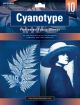Jacquard Cyanotype Pretreated Fabric Sheets 8.5 inch X11 inch 10 Per Pkg 