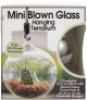 Mini Blown Glass Hanging Terrarium 