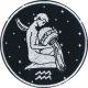 C and D Visionary Patch Astrology Aquarius