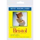 Strathmore Artist Trading Cards 2.5inchesX3.5inches 20 Per PkgBristol Smooth