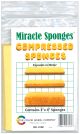 Compressed Sponges 4 Per Pkg3inchesX4inches