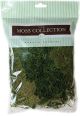 Quality Growers Preserved Spanish Moss 108.5 Cubic Inches Apple Green