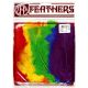 Turkey Flat Feathers 36 Per Pkg Rainbow