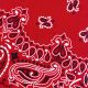 Hav A Hank Paisley Bandanna 22 Inch X22 Inch Red