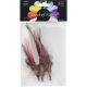 Feather Picks 3.5 Inch 3 Per Pkg Red White And Black