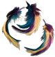 Feather Picks 5 Inch 3 Per Pkg Gold Teal And Deep Plum