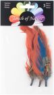 Feather Picks 3.5 inch 3 Per Pkg Cinnamon Jay Blue and Moss