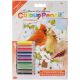 Mini Color Pencil By Number Kit 5Inch X7Inch Cardinal Pair