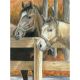 Color Pencil By Number Kit 8.75 inch X11.75 inch Buck s Pal