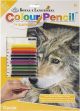 Color Pencil By Number Kit 8.75 inch X11.75 inch Curious Eyes