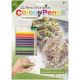 Color Pencil By Number Kit 8.75 Inch X11.75 Inch Sea Turtle