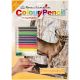 Color Pencil By Number Kit 8.75 inch X11.75 inch Whitetail Buck