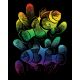 Rainbow Foil Engraving Art Kit 8 inch X10 inch Clownfish