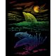 Rainbow Foil Engraving Art Kit 8 Inch X10 Inch Dolphin Reef