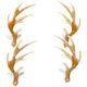 Eyelet Outlet Shape Brads 12 Per Pkg Antler