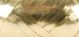 Flat Curling Ribbon .1875 inch X66 Gold Glitter
