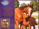 Paint Works Paint By Number Kit 11 Inch X14 Inch Mothers Pride