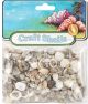 Craft Shells 150 Per Pkg Natural