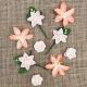 49 And Market Stargazers Paper Flowers 9 Per Pkg Peach Sorbet