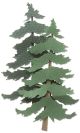Jolee s By You Dimensional Stickers Pine Trees