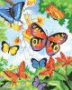 Color Pencil By Number Kit 8.75 inch X11.75 inch Bright But
