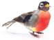 Mushroom Bird W Per Wire 4.5 Inch Robin