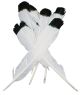 Simulated Eagle Feathers 4 Per Pkg White W Per Black Tip