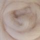 Wistyria Editions Wool Roving 12 .22oz Flesh