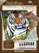 Paint By Number Kit Artist Canvas Series 9 inch X12 inch Tiger In Hiding