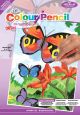 Mini Color Pencil By Number Kit 5 InchX7 Inch Bright Butterflies