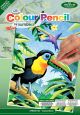 Mini Color Pencil By Number Kit 5 Inch X7 Inch Tropical Bir