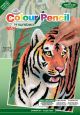 Mini Color Pencil By Number Kit 5 inch X7 inch Jungle Tiger