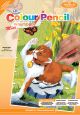 Mini Color Pencil By Number Kit 5 inch X7 inch Kitten and Butterfly