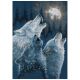 Dimensions Counted Cross Stitch Kit 10 inch X14 inch In Harmony 14 Count