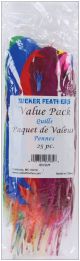 Turkey Quill Feathers 25 Per Pkg Assorted