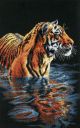 Dimensions Counted Cross Stitch Kit 9 Inch X14 Inch Tiger Chilling Out 18 Count